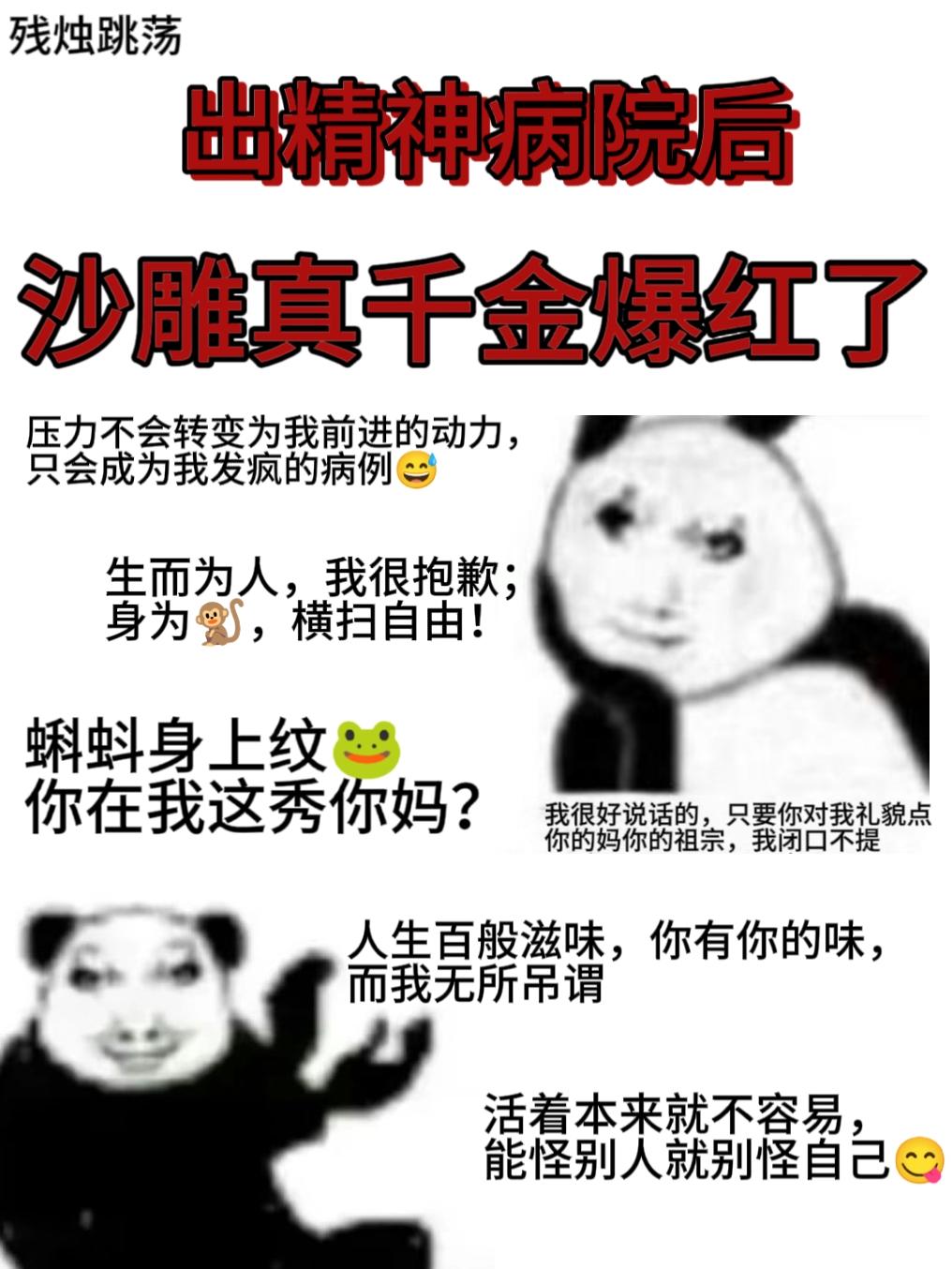 出精神病院后，沙雕真千金爆红了